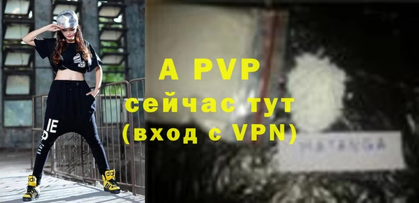 спиды Инта