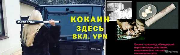 прущая мука Богданович