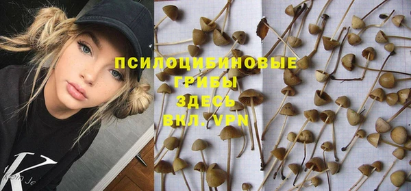 кокс Богородицк