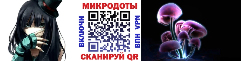Галлюциногенные грибы Cubensis  Афипский 